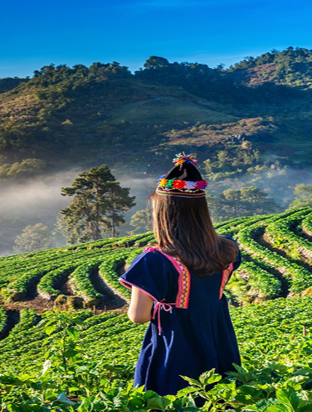 kerala